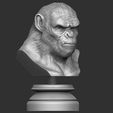2.JPG OBJ file Koba Monkey・3D print model to download, Bstar3Dart