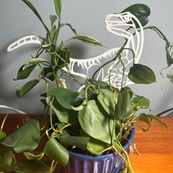 raptor-trellis-1.jpg STL file Raptor Plant Trellis and Wall Decor・3D printing design to download