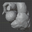15.png 3D Heart Model - generated from real patient