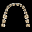 up.png Free Exocad Tooth Library - High Esthetic Anatomy