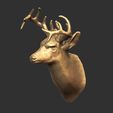 8-ZBrush-Document.jpg Deer head-WALL MOUNTED