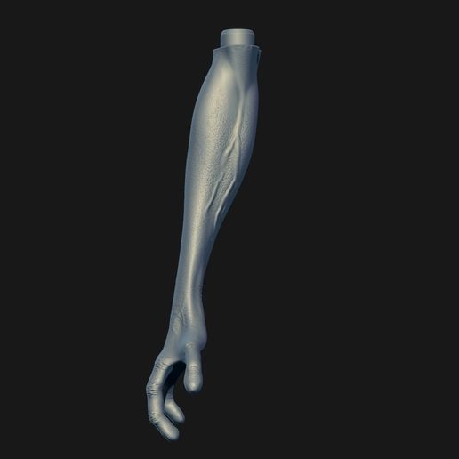ZBrush-Document3567.jpg Sylxx