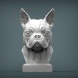 boston-terrier2.jpg boston terrier 3D print model