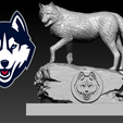 ytty.png NCAA - University of Connecticut Mascot statue - 3d print