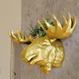 elk-wall-planter-low-poly3.png Elk moose wall mount planter pot flower vase 3d print file