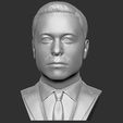 2.jpg Elon Musk bust for 3D printing