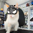 WhatsApp-Image-2024-09-25-at-19.41.54-1.jpeg SPINNENKATZE (SPIDERMAN)