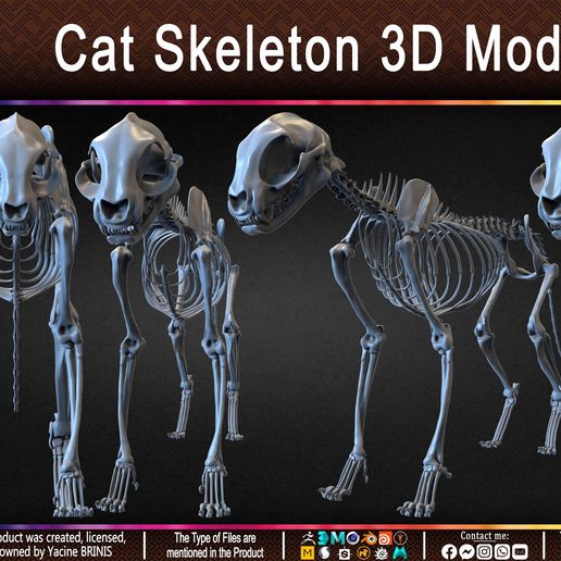 Vinny Cat on skull/立体アート Vinny Cat on skull/立体アート
