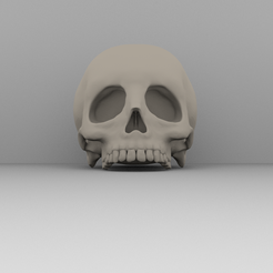 skull1.png STL file Real skull・Model to download and 3D print