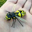 Wasp_Lure-005.jpg Ultralight Wasp Lure