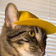 IMG_3976.png Baseball Cat Cap