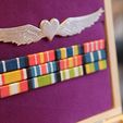 P1033361.JPG Wing Commander Medal Set
