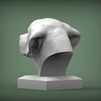 Labrador3.jpg Labrador Modèle d'impression 3D