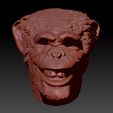tfftytyfytfft.jpg Smiling Chimp Head