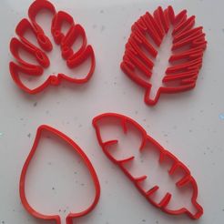 346153833_963160151489138_4273479063779739513_n.jpg Fichier STL Emporte-pièces en forme de feuilles・Objet imprimable en 3D à télécharger
