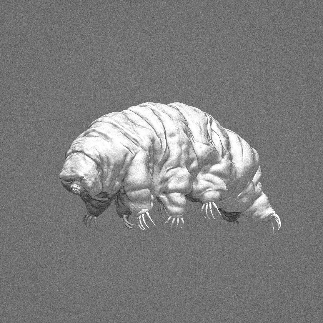 Download STL file Tardigrade • Model to 3D print • Cults