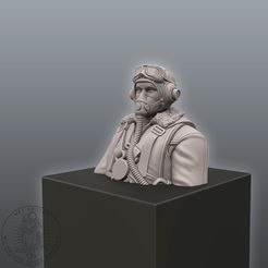 Bildschirmfoto 2020-03-18 um 16.44.02.jpg Archivo STL Busto de piloto de la RAF・Modelo para descargar e imprimir en 3D