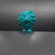 Little-Lion12.jpeg Leãozinho
