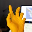 IMG_0408.JPG Free STL file hand anatomy・3D printing template to download
