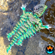 1.png Qualle Drache, Gelenkiges Flexi Pet, Druck an Ort und Stelle, Fantasy