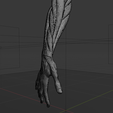 a4.png Anatomia do músculo do braço humano Modelo 3D | Estrutura realista do antebraço e da mão | Modelo de estudo anatómico