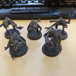Little DNABorrowers Kit