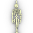 Screenshot_18.png mermaid skeleton