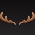 zz-2081917.jpg Moose Antler
