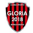 Captură.jpg Logo Gloria Bistrita 2018