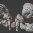 31.PNG.e7fa0dff0879e31acd0da9a6bc3918e8.png 3D Model of Human Brain