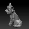photo1625558238.jpeg Archivo STL maceta yorsay・Objeto imprimible en 3D para descargar