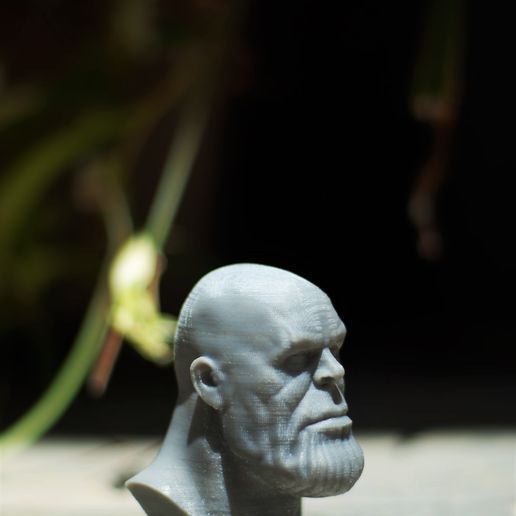 Thanos (1).JPG Thanos