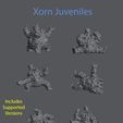 Xorn_Juveniles_00.jpg Xorn Juveniles