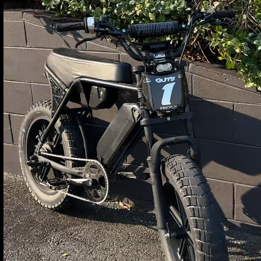v8 Ebike side panels