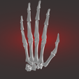 Bones-hand-render-3.png Bones hand