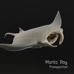 1.jpg Fichier STL Raie manta・Objet imprimable en 3D à télécharger