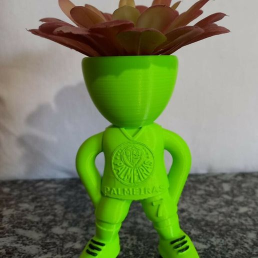 01.jpeg robert palm trees