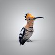 untitled.5635.jpg The hoopoe 3D model