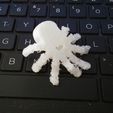 20210803_073413.jpg Articulated mini Octopus