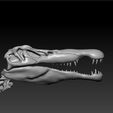 Spinosaurus5.jpg Spinosaurus SKELETON - FULL 3D Spinosaurus DINOSAUR BONES