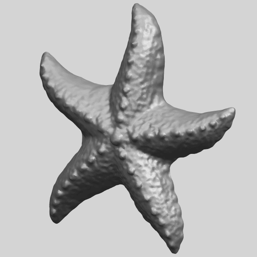 10_TDA0609_Starfish_03A02.png -Datei Starfish 03 kostenlos herunterladen • Objekt zum 3D-Drucken, GeorgesNikkei