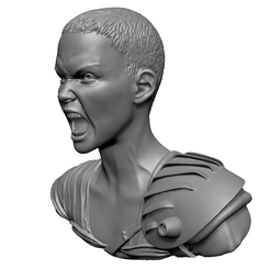 Furiosa1.png Fichier STL Charlize Theron Furiosa de Mad Max : Fury Road・Objet imprimable en 3D à télécharger