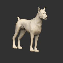 DogBoxerP.jpg Descargar archivo STL gratis Perros mascota x3 • Modelo para imprimir en 3D, CharlieVet