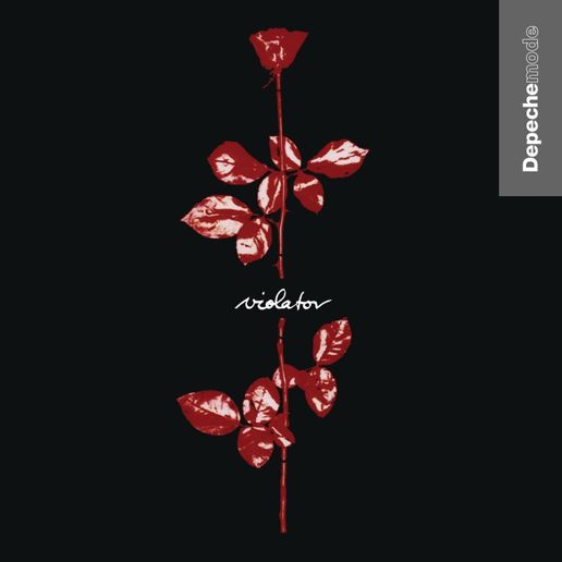 Depeche Mode - Violator - Album Cover 3D model