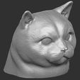 19.jpg British Shorthair cat head for 3D printing