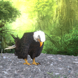 0_00061.png Eagle Eagle - DOWNLOAD Eagle 3d Model - Animated for Blender-Fbx-Unity-Maya-Unreal-C4d-3ds Max - 3D Printing Eagle Eagle BIRD - DINOSAUR - POKÉMON - PREDATOR - SKY - MONSTER
