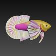 z5494651736083_4dbfa67796c331e38ff7bf19e54898e7.jpg Betta Fish Dumble - Ready For 3D Printing
