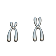 Chromosomes_Matcap_3.png Types of Chromosomes