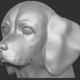 2.jpg Puppy of Beagle dog head for 3D printing