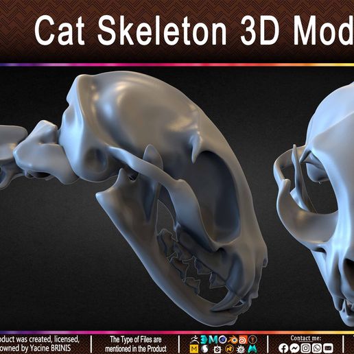🐱 Cat Skeleton 3D Model・ 3D File for 3D printing・Cults